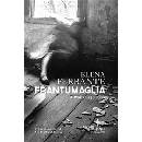 Frantumaglia