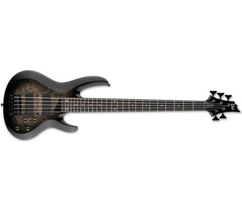 ESP LTD B-205DX