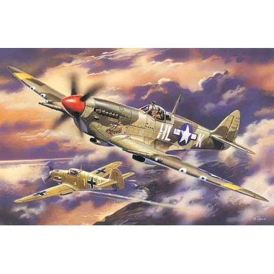 ICM Spitfire Mk.VIII USAAF 1:48