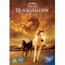 The Young Black Stallion DVD