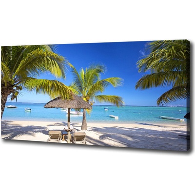 Foto obraz na plátne do obývačky Pláž Mauritius 100x50 cm