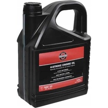 Briggs & Stratton SAE 30 5 l