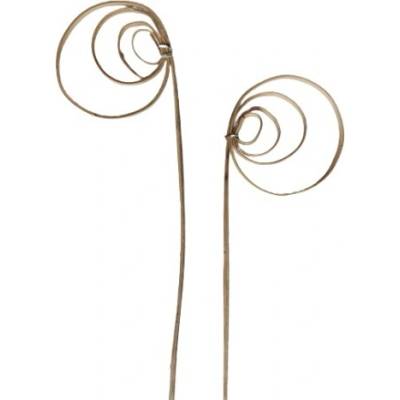 Cane coil mini 25 - 35 cm / 1 ks