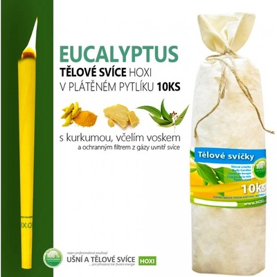 Hoxi Tělové svíčky eucalypt