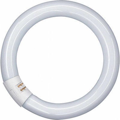 Osram G10q 40W 865 Lumilux T9C fluorescenční kruh L40W/865C