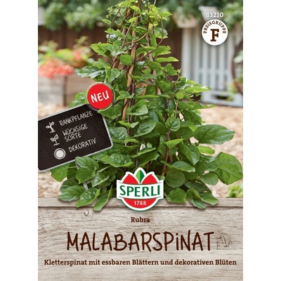 Sperli Malabarský špenát Rubra 1 bal.