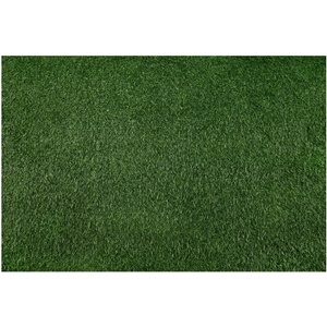 Multidecor Изкуствена трева BELLIN 100x200 cm 18 mm зелена (MU0280)