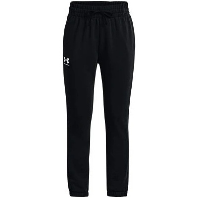 Under Armour rival Terry Joggers