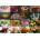Grafika Art Puzzle - Puzzle Collage Flowers II - 1 500 piese