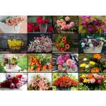 Grafika Art Puzzle - Puzzle Collage Flowers II - 1 500 piese