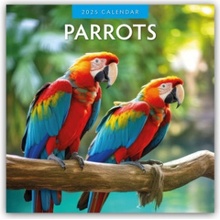 Parrots Papageien 16-Monats 2025