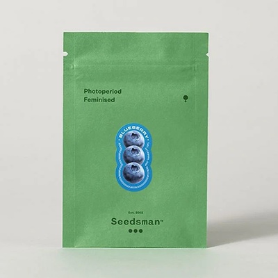Seedsman Bruce Banger semienka neobsahujú THC 3 ks