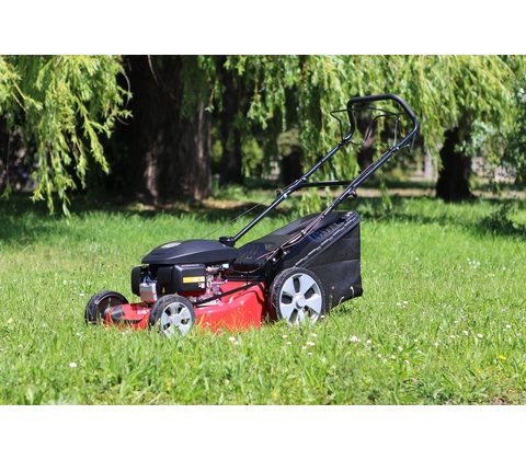 Vari CP1 484 H