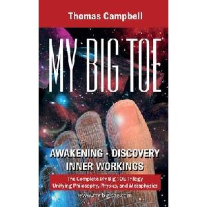 My Big TOE Awakening Discovery Inner Workings (ISBN: 9780972509473)