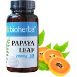 Bioherba Papaya Leaf 200 mg [100 капсули]