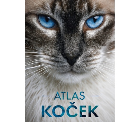 Atlas koček