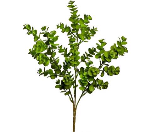 ZÁPICH EUKALYPTUS ZELENÝ 35CM
