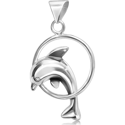 Šperky eshop Přívěsek ze stříbra 925 delfín skákající skrz kruh V15.8