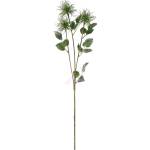 EGLO 428363 - Изкуствено цвете ETAYA 76, 5 см зелен (EG428363)