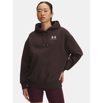 Under Armour UA Icon Fleece OS Hoodie-BRN Hnědá