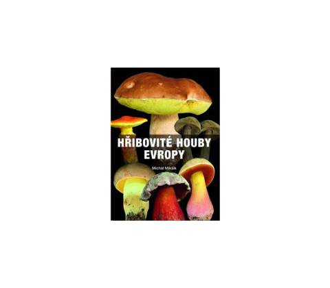 Hřibovité houby Evropy