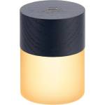 Gingko Черна светлинна декорация с USB ø 4, 5 cm Lemelia - Gingko (G026BK)
