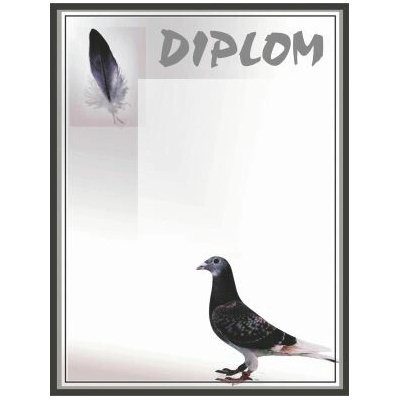 TROFEJE.sk Diplom 26