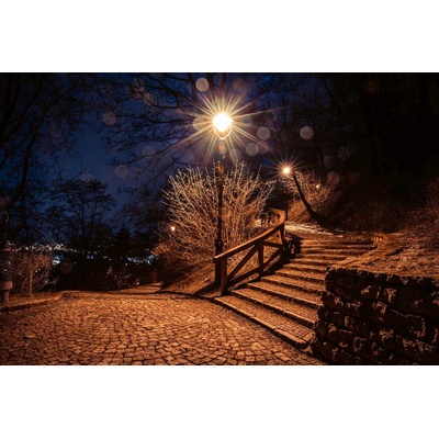 DIMEX ART Флизелинов фототапет парк петрин 375 x 250 см