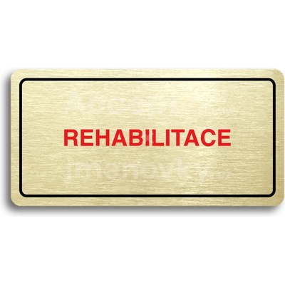 ACCEPT Piktogram REHABILITACE - zlatá tabulka - barevný tisk