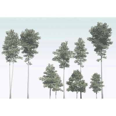 R4-040 Fototapeta vliesová Pines rozměry 400x280 cm