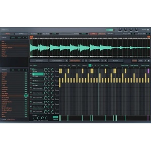 Initial Audio Slice