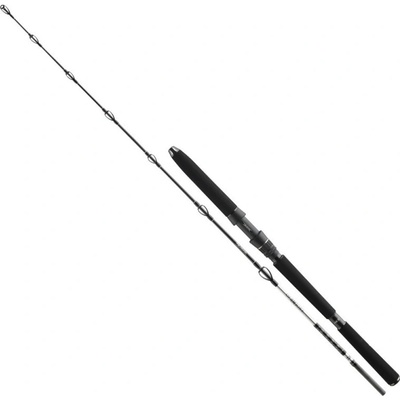 Daiwa BG DEEP SEA 2,2 m 150-300 g 2 díly