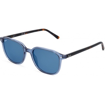 Ray-Ban RB2193