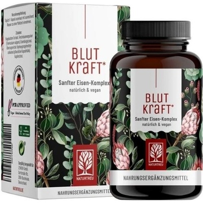 Naturtreu Krevní síla Komplex železa s fenyklem vitaminem C a mědí 120 kapsúl