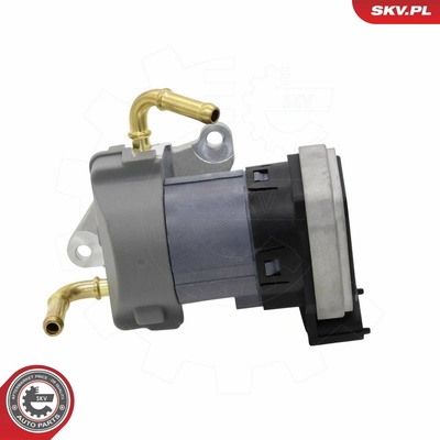 AGR - Ventil ESEN SKV 14SKV303