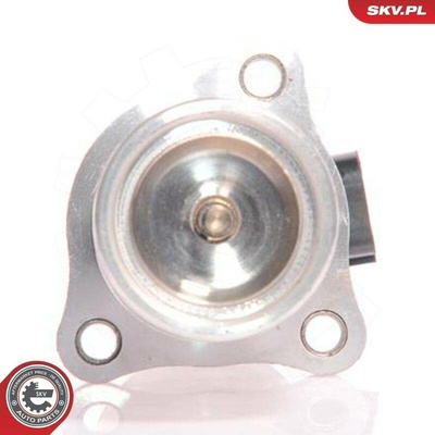 AGR-Ventil ESEN SKV 14SKV010