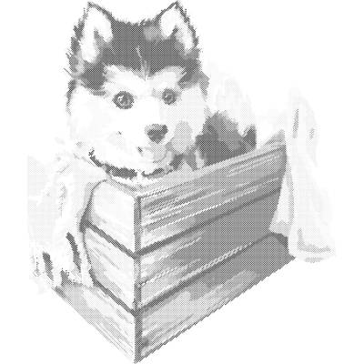 ZUTY Bodkovanie - HUSKY V KRABICI Rámovanie: vypnuté plátno na rám, Rozmer: 40x50 cm