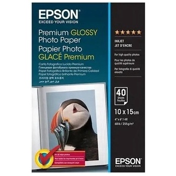 Epson C13S042167