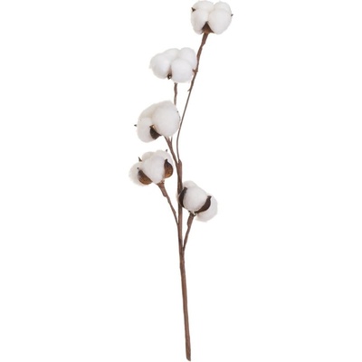 Casa Selección Изсушено растение (височина 55 cm) Cotton - Casa Selección (806122)