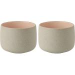 Stelton Чашка EMMA, 150 мл, комплект от 2 бр. , роза, каменинови изделия, Stelton (SNX2331)