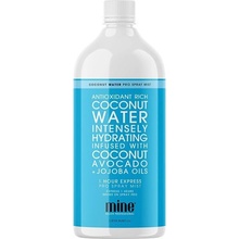 Minetan samoopalovací nástřiková tekutina Coconut Water Pro Spray Mist 1000 ml