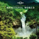Beautiful World mini