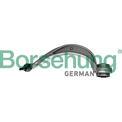 Rameno zavesenia kolies BORSEHUNG B10841