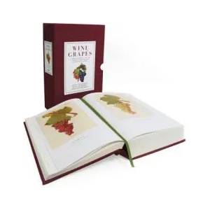 Wine Grapes | Jancis Robinson, Julia Harding, Jose Vouillamoz (2012)
