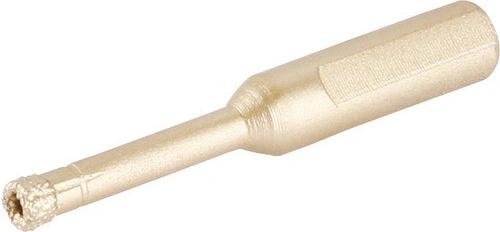 Festa 24700