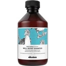 Davines Naturaltech Well Being Shampoo 100 ml