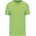Kariban K 357 lime