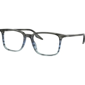 Ray-Ban RX5421 8254