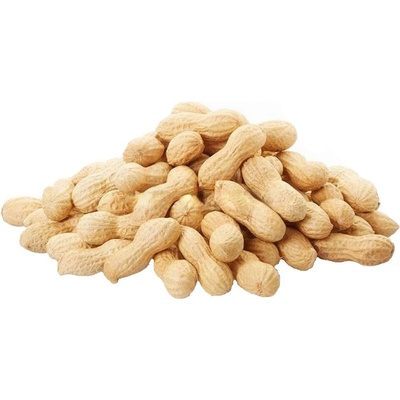 AVICENTRA Búrske orechy v škrupine 10 kg