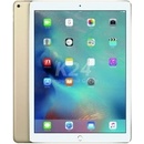Tablety Apple iPad Pro Wi-Fi 128GB ML0R2FD/A